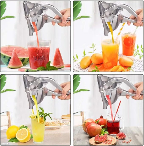 Manual Hand Press Juicer Silver 225x120x110mm